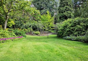 Optimiser l'expérience du jardin à Coux-et-Bigaroque